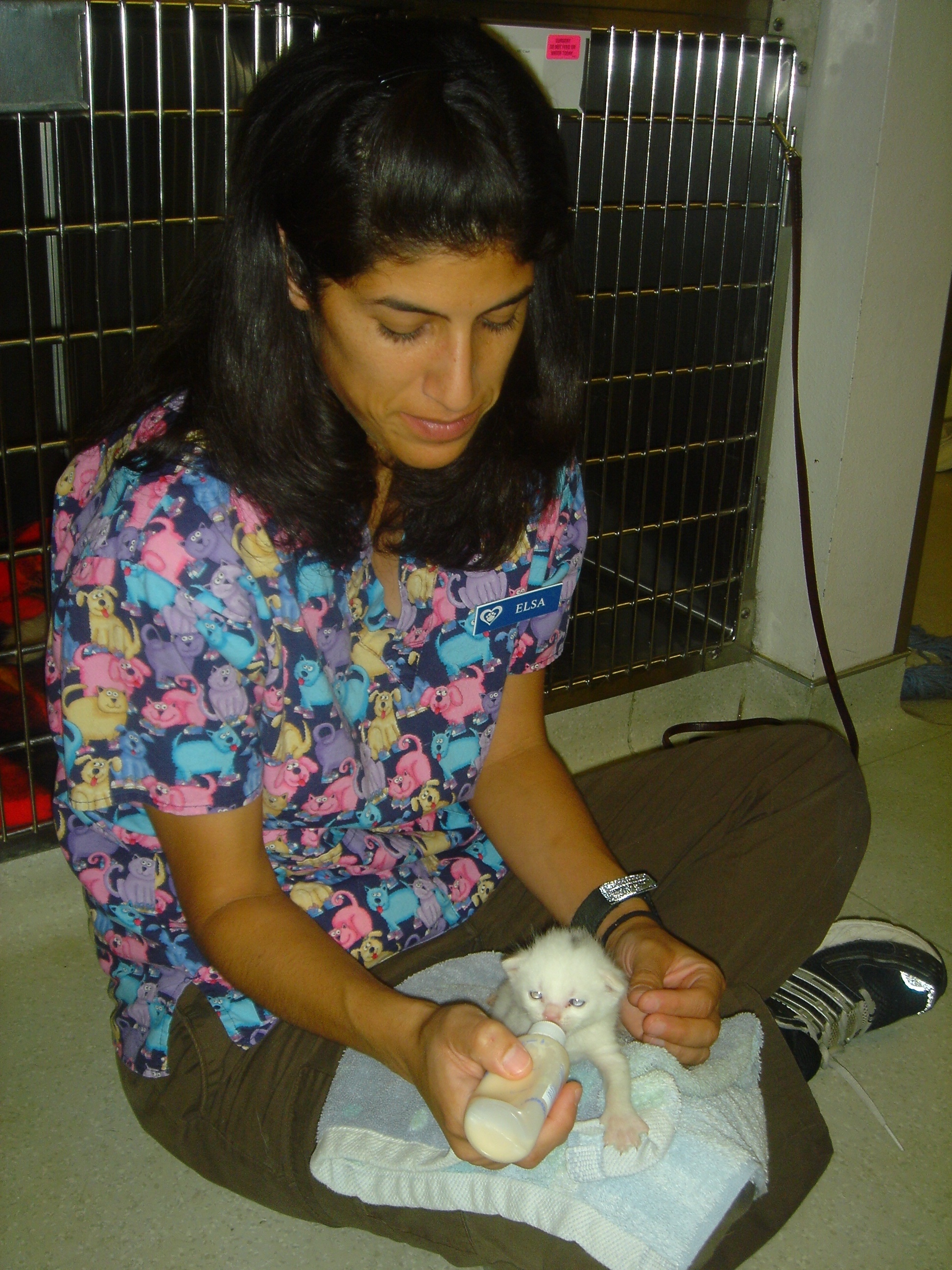 Elsa, Treatment Room Lead/Coordinator and Registered Veterinary Technician (RVT)