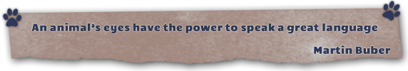 quote banner
