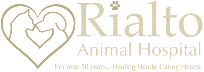 Rialto Animal Hospital - Veterinary Services - Veterinarian - Home