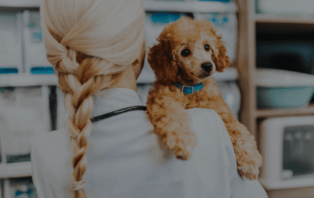 Wellness Exams and Vaccines for Pets in Rialto, CA